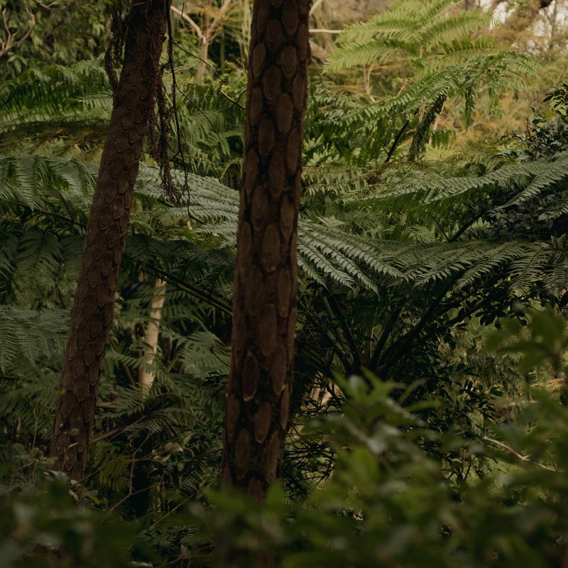 Bowral