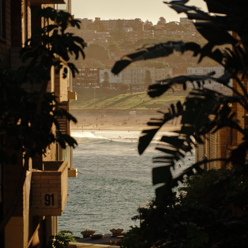 Cala, Tamarama